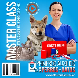 Imagen de portada para Curso online Primeros Auxilios para Perros y Gatos