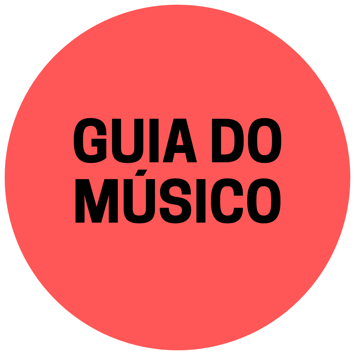Imagem do curso GUIA DO MÚSICO INICIANTE