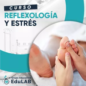 Imagen de portada para Curso online Curso en Reflexología y estrés