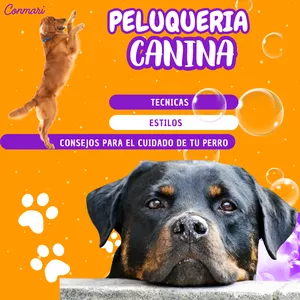 Imagen de portada para Ebook "El Arte de la Peluquería Canina Perros con Estilo"