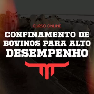 Imagem do curso Confinamento de Bovinos para Alto Desempenho