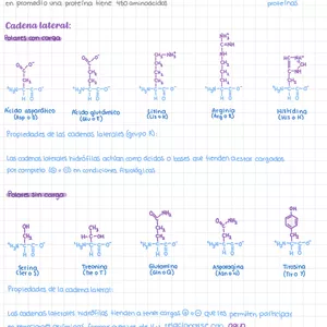 Imagen de portada para Ebook Libreta de apuntes de Biología molecular de la célula 
