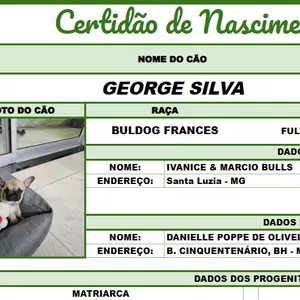 Imagem de capa para o Curso online GSHEETS PET PRO