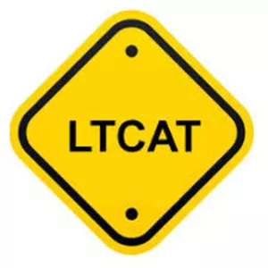 Imagem de capa para o Ebook LTCAT - MODELO - PDF 