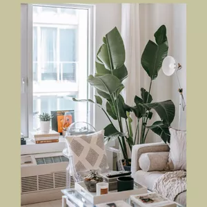 Imagem de capa para o Ebook Guia rápido - Plantas em casa