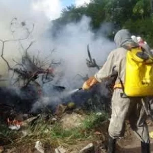 Curso Brigada de Incêndio Florestal