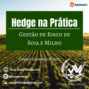 Curso Hedge na Prática: Gerenciamento de Riscos para Soja e Milho