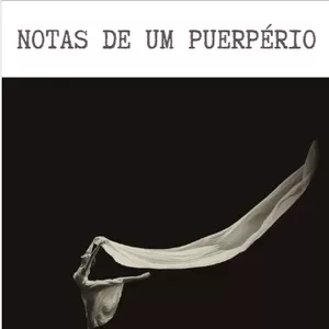 Imagem de capa para o Ebook Notas de um puerpério