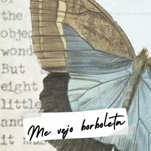 Imagem de capa para o Ebook Me vejo borboleta