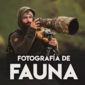 Imagen de portada para Curso online Curso de fotografía de fauna