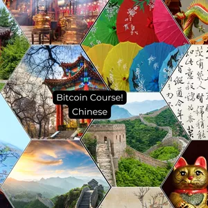 Cover image for Online course How to understand Bitcoin Online (Fast)  | In Chinese
