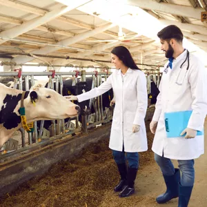 Imagem de capa para o Curso online Auxiliar de Veterinária Pequeno e Grande Porte