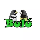 Bulu Papacapim