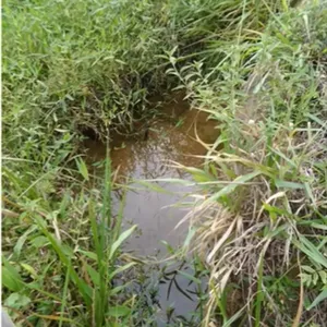 Imagem de Curso de Nascentes Para Produção de Água Boa e Com Volume criado por Eu Cuido de Rios na hotmart