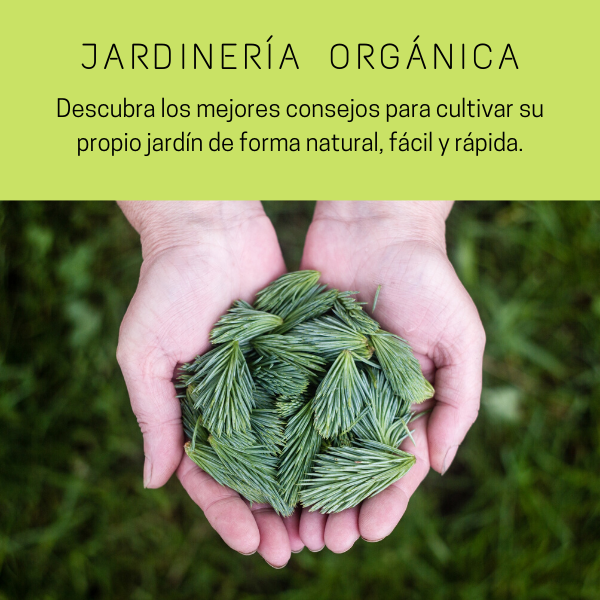 Jardinería Orgánica