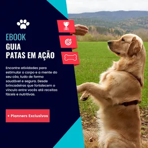 Imagem de capa para o Ebook Guia Patas em Ação - Atividades e Receitas para Cães