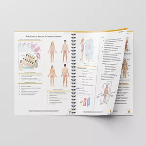 Imagen de portada para Ebook Apunte Anatomia - Pregrado Barceló 2024