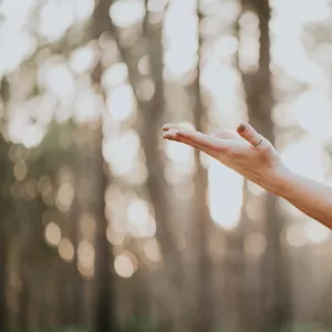 Imagem de capa para o Ebook Programa de Bem-Estar Emocional para Todas as Idades