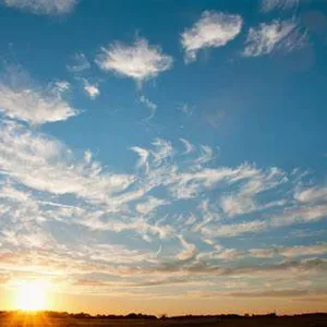 Imagem de capa para o Curso online Consultoria Financeira