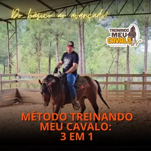 Imagem de capa para o Curso online Método Treinando meu Cavalo 3em1 