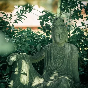 Imagen de portada para Curso online Templates de Canva para tu negocio de yoga