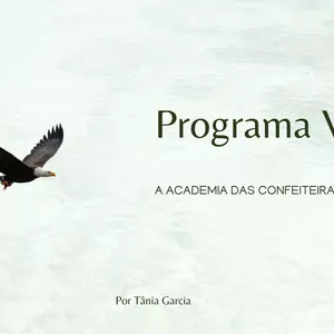 Imagem de capa para o Curso online Programa VDA