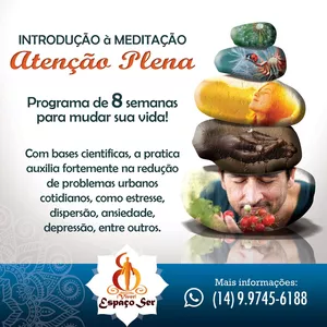 Imagem de capa para o Curso online Programa de Introdução a Meditação através da Atenção Plena