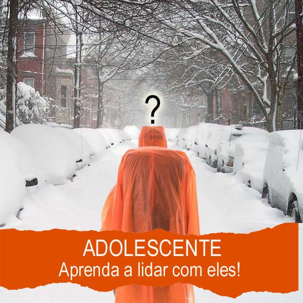 Capa do curso 