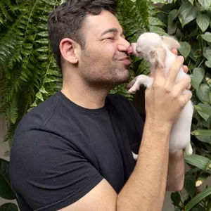 Imagem de capa para o Curso online Mentoria Exclusiva 