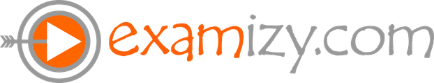 Examizy logo