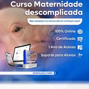 Imagem do curso Maternidade Descomplicada