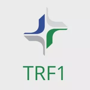 Imagem de capa para o Curso online Discursiva TRF1 - Técnico e Analista Judiciário - Discursiva na Prática