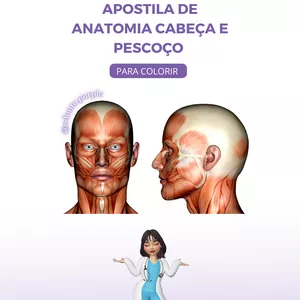 Imagem de capa para o Ebook Apostila de Anatomia Cabeça e Pescoço 