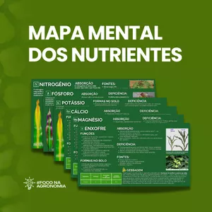 Imagem de capa para o Ebook MAPA MENTAL DOS NUTRIENTES 