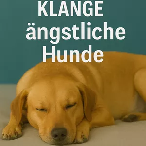 Cover image for Ebook Beruhigende Klänge für ängstliche Hunde: Eine strukturierte Audio-Routine zur Reduzierung von Stress, Angst und Unsicherheit bei Hunden