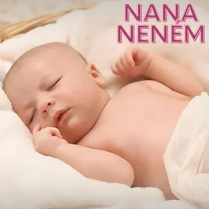 Imagen de portada para Curso online NANINHA NENÉM