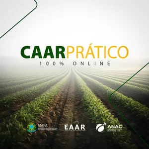 Imagem de capa para o Curso online CAAR PRÁTICO ONLINE