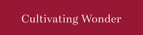 Cultivating Wonder's School logo