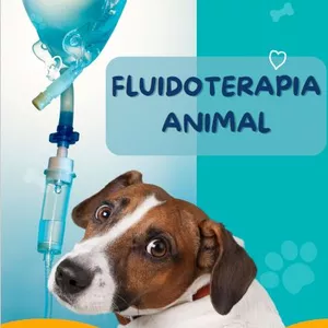 Imagem de capa para o Ebook Fluidoterapia Animal