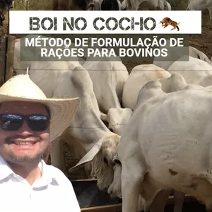 Imagem principal do produto  BOI NO COCHO - MÉTODO DE FORMULAÇAO DE RAÇÕES PARA BOVINOS DE CORTE