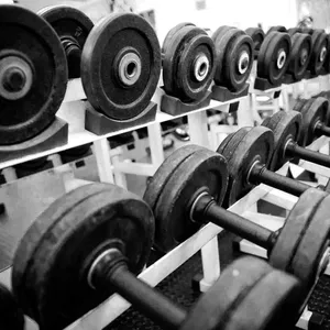 Imagem de capa para o Ebook Fichas de Treino Masculino/Feminino 