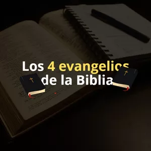 Imagen de portada para Curso online Los 4 evangelios de la Biblia.