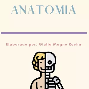Imagem de capa para o Ebook Resumos de Anatomia