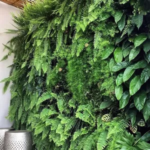 Imagem de capa para o Curso online Natureza Vertical 