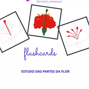 Imagem principal do produto Flashcards Estudo das partes da flor Montessori