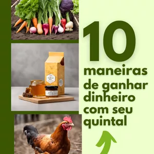 Imagem de capa para o Ebook 10 maneiras de ganhar dinheiro com seu quintal