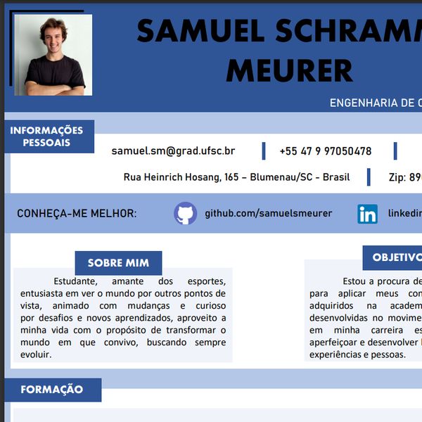 Curriculum vitae acesso picture
