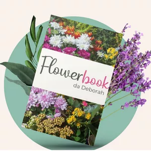 Imagem principal do produto Flower Book da Deborah