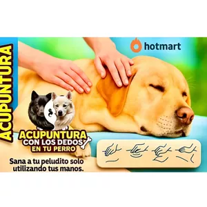 Imagen de portada para Curso online ACUPUNTURA CON LOS DEDOS EN TU PERRO. DR VICENTE CALDERÓN