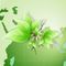 True Health Mastery Academy